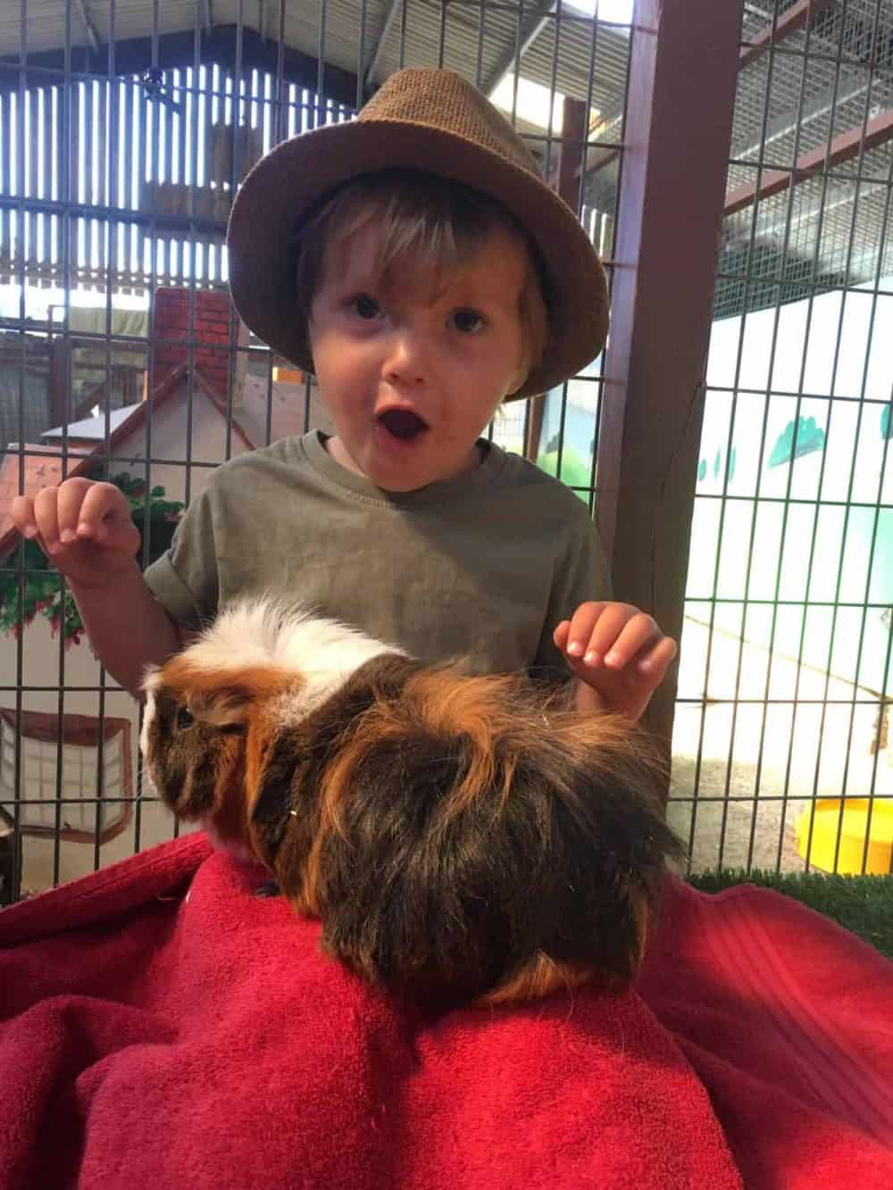 Educating Children on Group Visits to the Farm