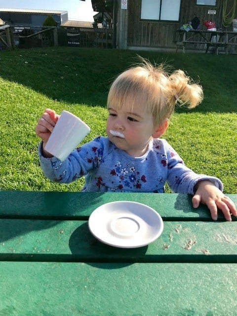 What’s happening with Bump to Baby Trial Passes at Farmer Palmer’s?