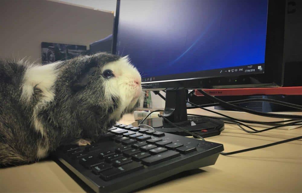 What to do if you’re not receiving Farmer Palmer’s email updates