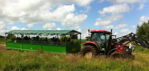 Does Farmer Palmer’s still take cash?