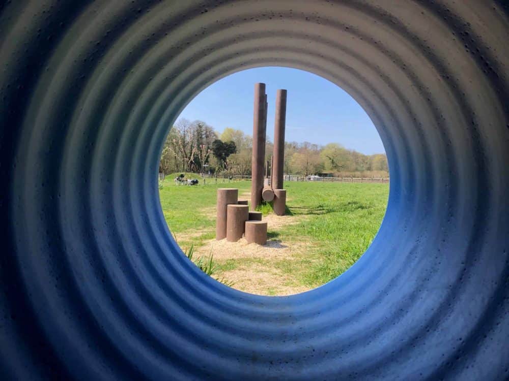 Changes from 19th July at Farmer Palmer’s