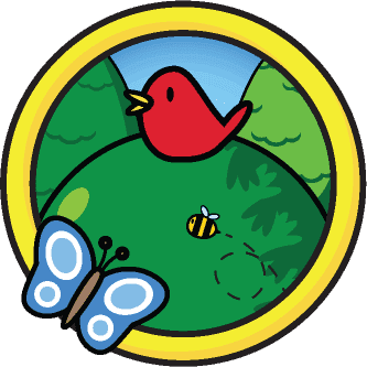 All the links you need