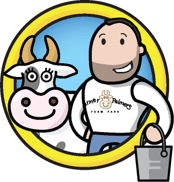 NEW Competition 2017