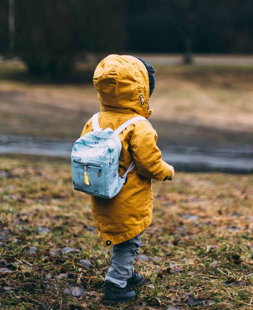 How to build an Immune System