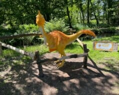 Summer 2021 Update from Farmer Palmer’s