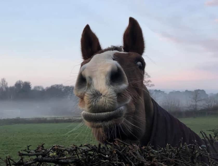 What’s Happening with Annual Pass Lost Time