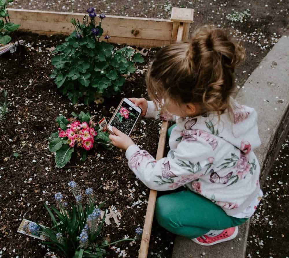 Photo Competition for 2020 Now Open