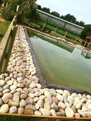 Farmer Palmer’s Pond Gets a Makeover